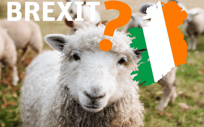 Brexit in Ireland